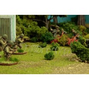 Bolt Action - Barbed Wire pas cher