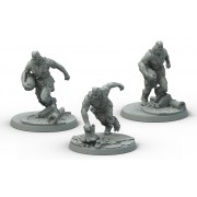Fallout: Wasteland Warfare - Super Mutants Suiciders pas cher