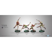 Infinity - Combined Army - The Hungries: Gakis and Pretas pas cher